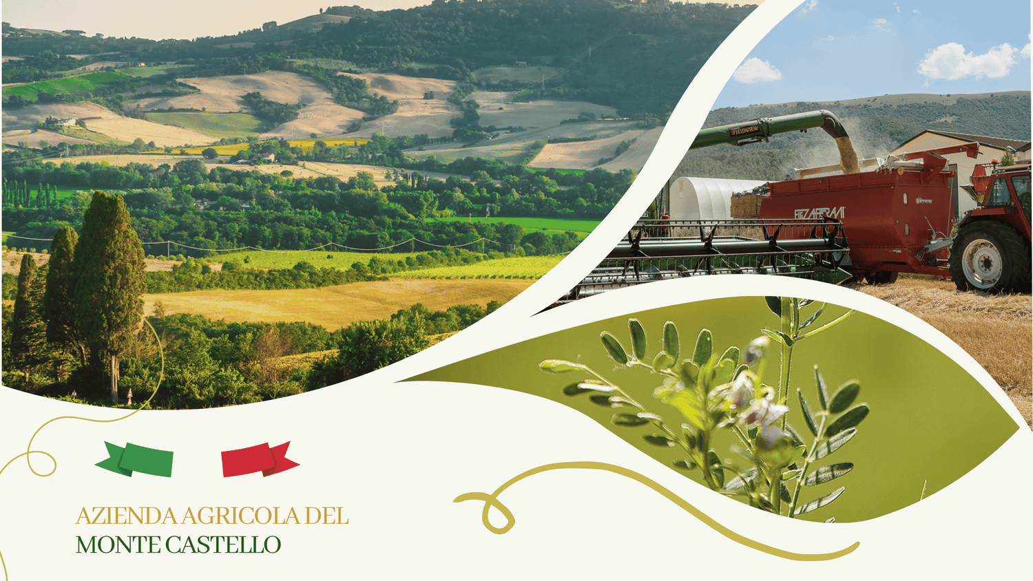 Monte-Castello-legumi-biologici-italiani