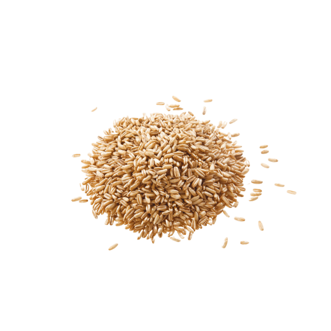 Avena Decorticata QM