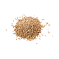 Lenticchie QM